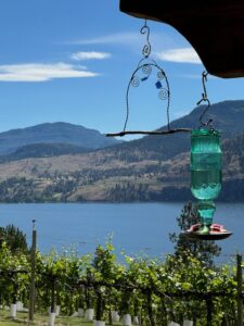 Vintage View Cottage Hummingbird Feeder