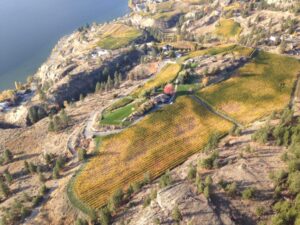 Vintage View Cottage Aerial View