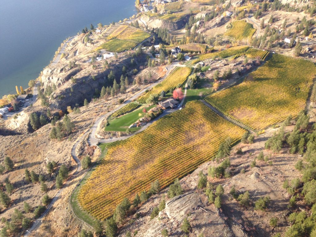 Vintage View Cottage Aerial View