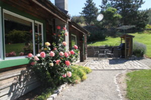 Vintage View Cottage Side Patio