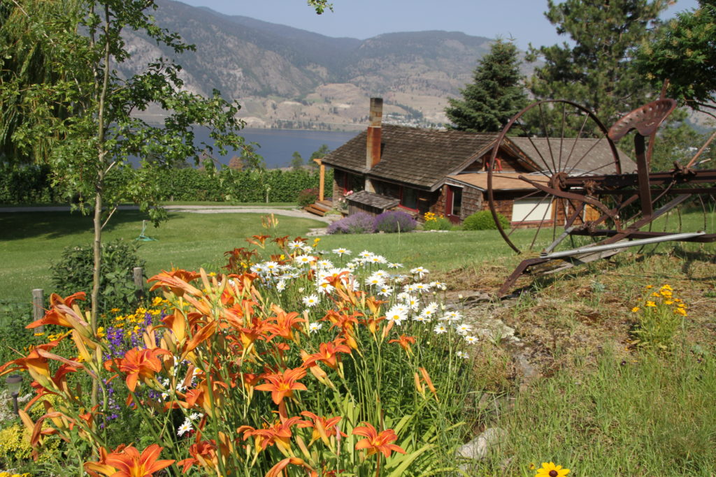 Vintage View Cottage