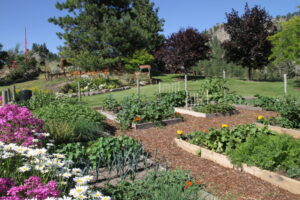 Vintage View Cottage Garden