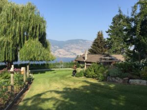 Vintage View Cottage Lawn Space