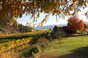 Vintage View Cottage Vineyard